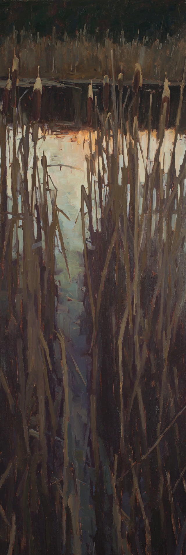 Tall Reeds Lake Canvas Print