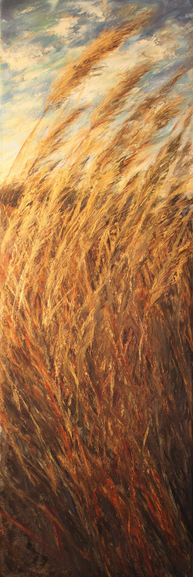 Golden Grass Field Canvas Print