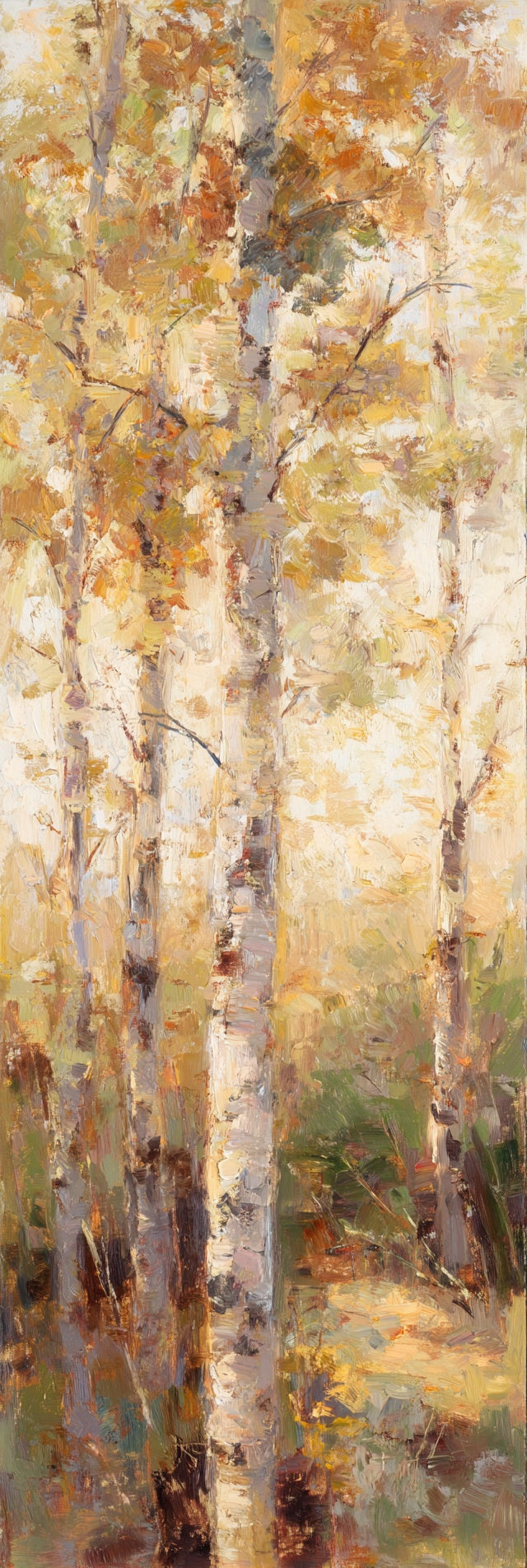 Autumn Birch Forest Canvas Print