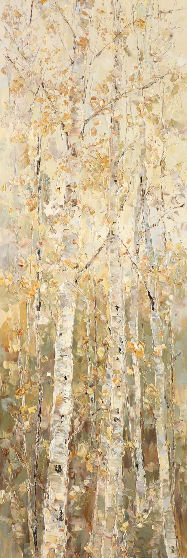 Birch Forest Trees Canvas Print