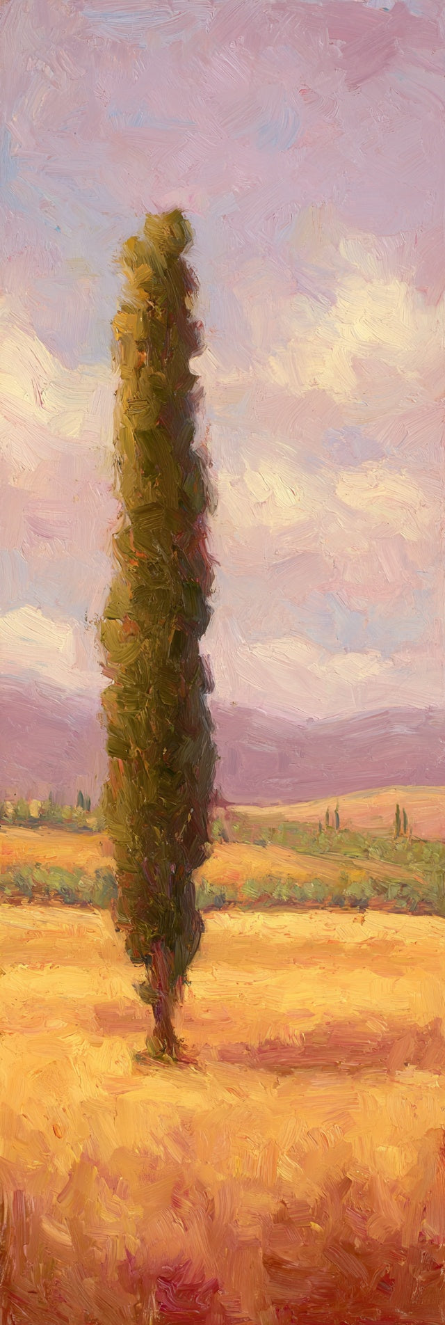 Tuscan Cypress Field Canvas Print