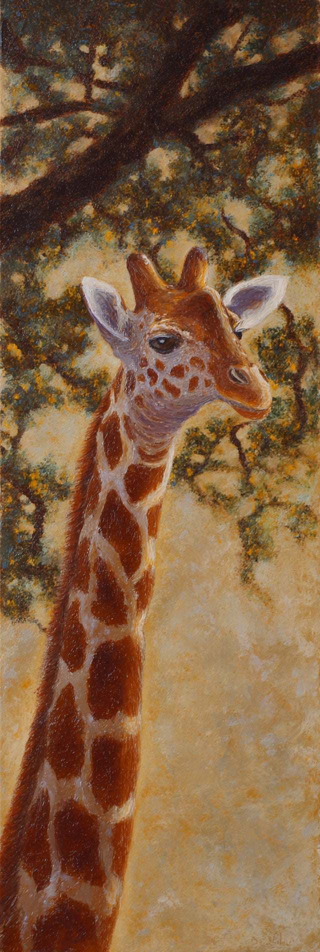 Giraffe Portrait Canvas Print