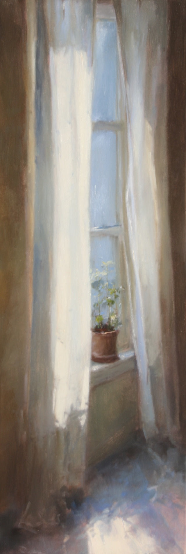 Window View Plant Canvas Print