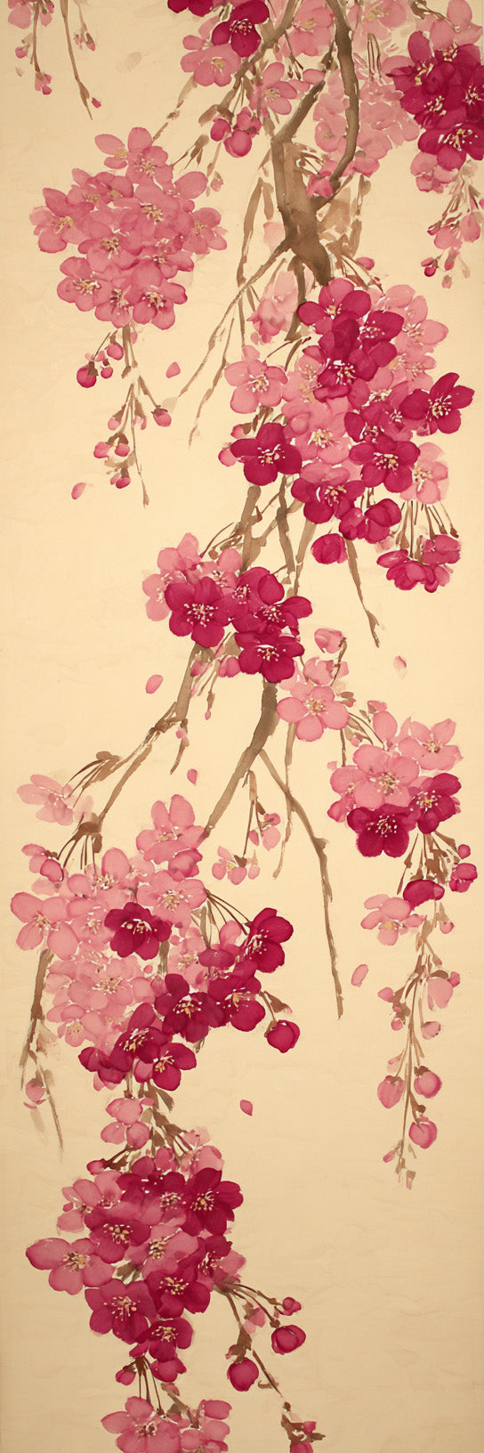 Blossoming Cherry Branches Canvas Print