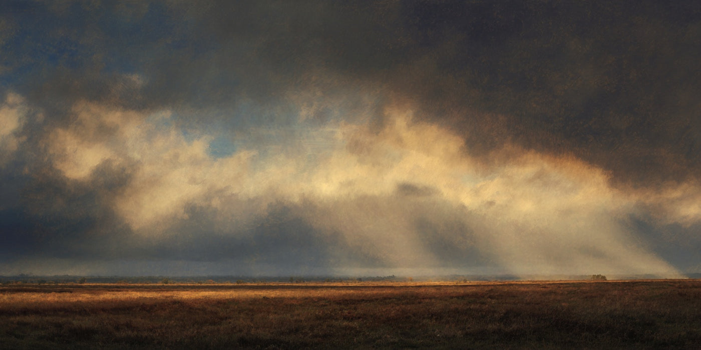 Leinwanddruck „Stürmischer Himmel und Feld“