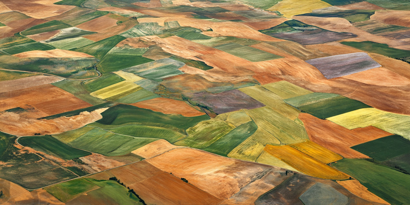 Aerial Farm Fields Canvas Print