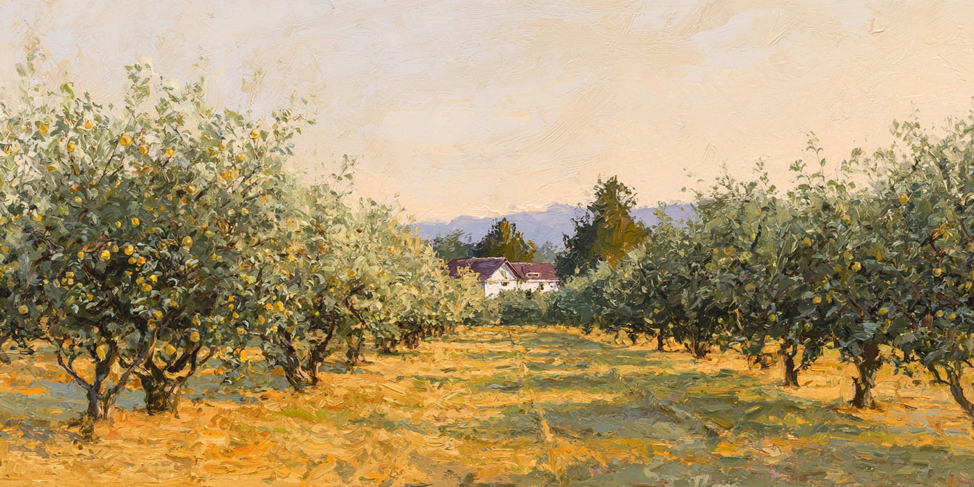 Orangenhain-Landschafts-Leinwanddruck