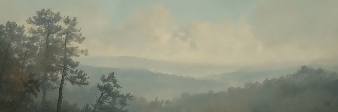Misty Mountains Canvas Wall Art