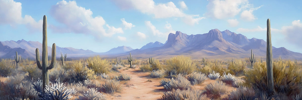 Western Desert Landscape Canvas Wall Art