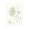 Winnie the Pooh standing in a meadow, surrounded by delicate line drawings of trees, wildflowers, and playful bees, rendered in a soft green outline on an ivory background.