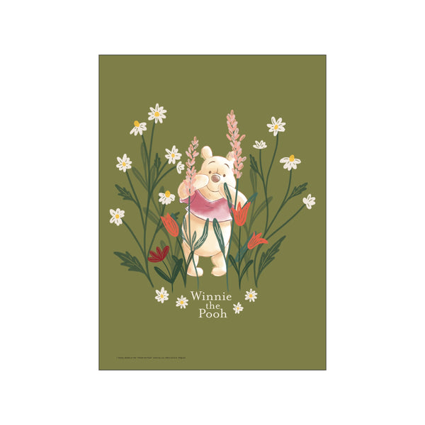 Winnie the Pooh peeking through daisies and wildflowers on a sage green background, evoking a feeling of gentle wonder and cozy nostalgia for any room.