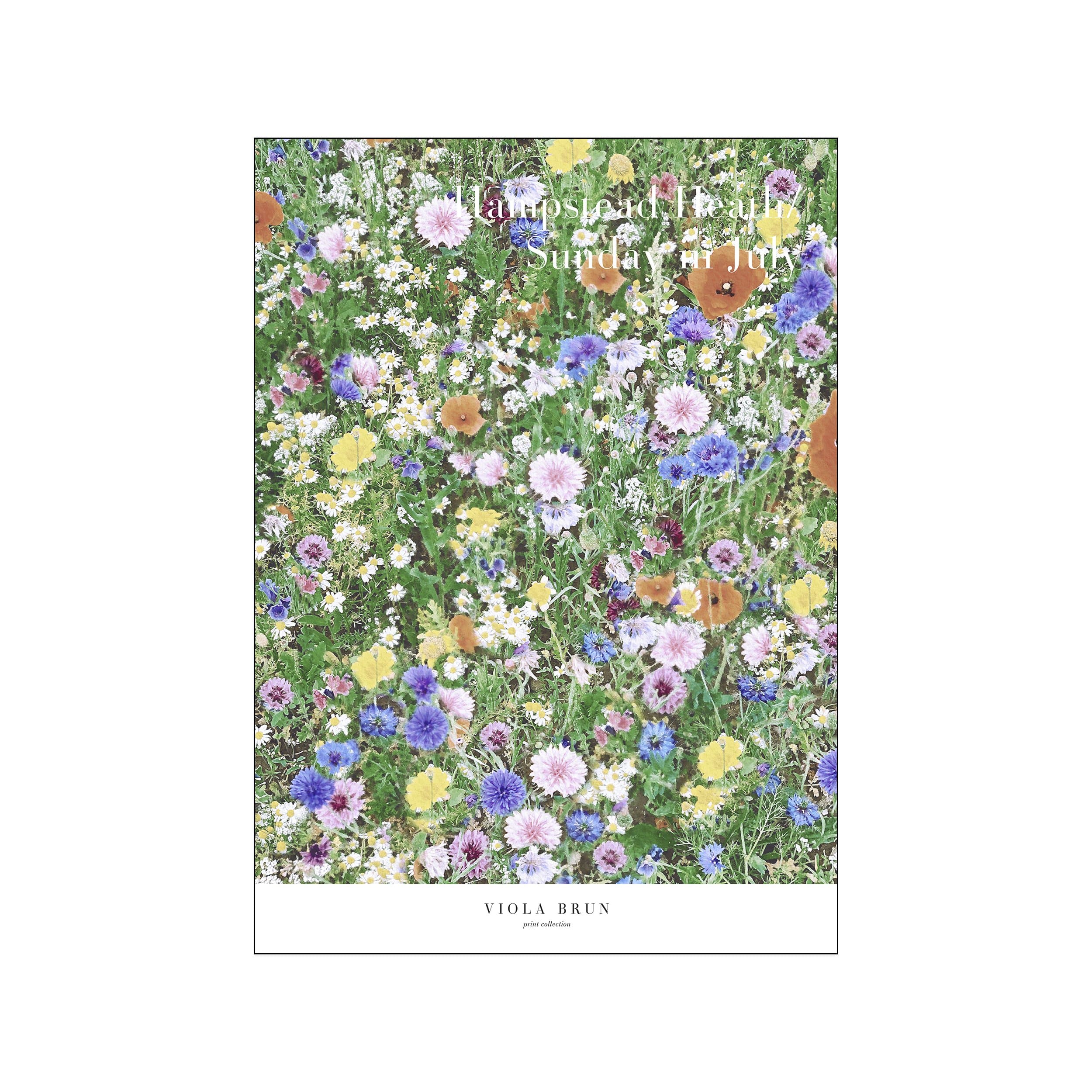 Dense wildflower meadow print with green foliage and pastel blooms, titled Hampstead Heath
