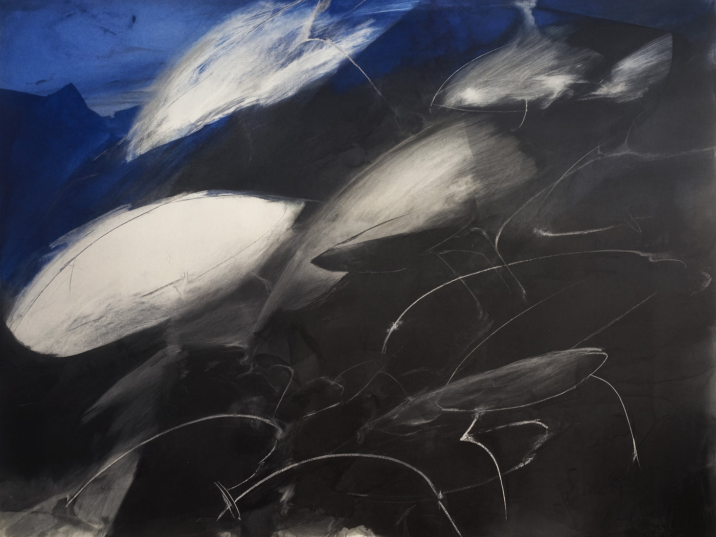 Abstract Dolphin Giclée Print - Abyss & Ascent