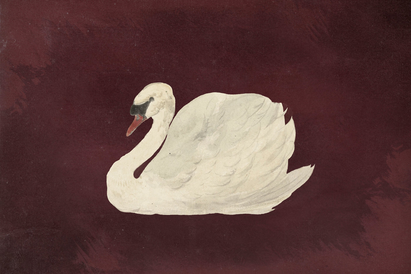 Vintage Swan Maroon Wall Art