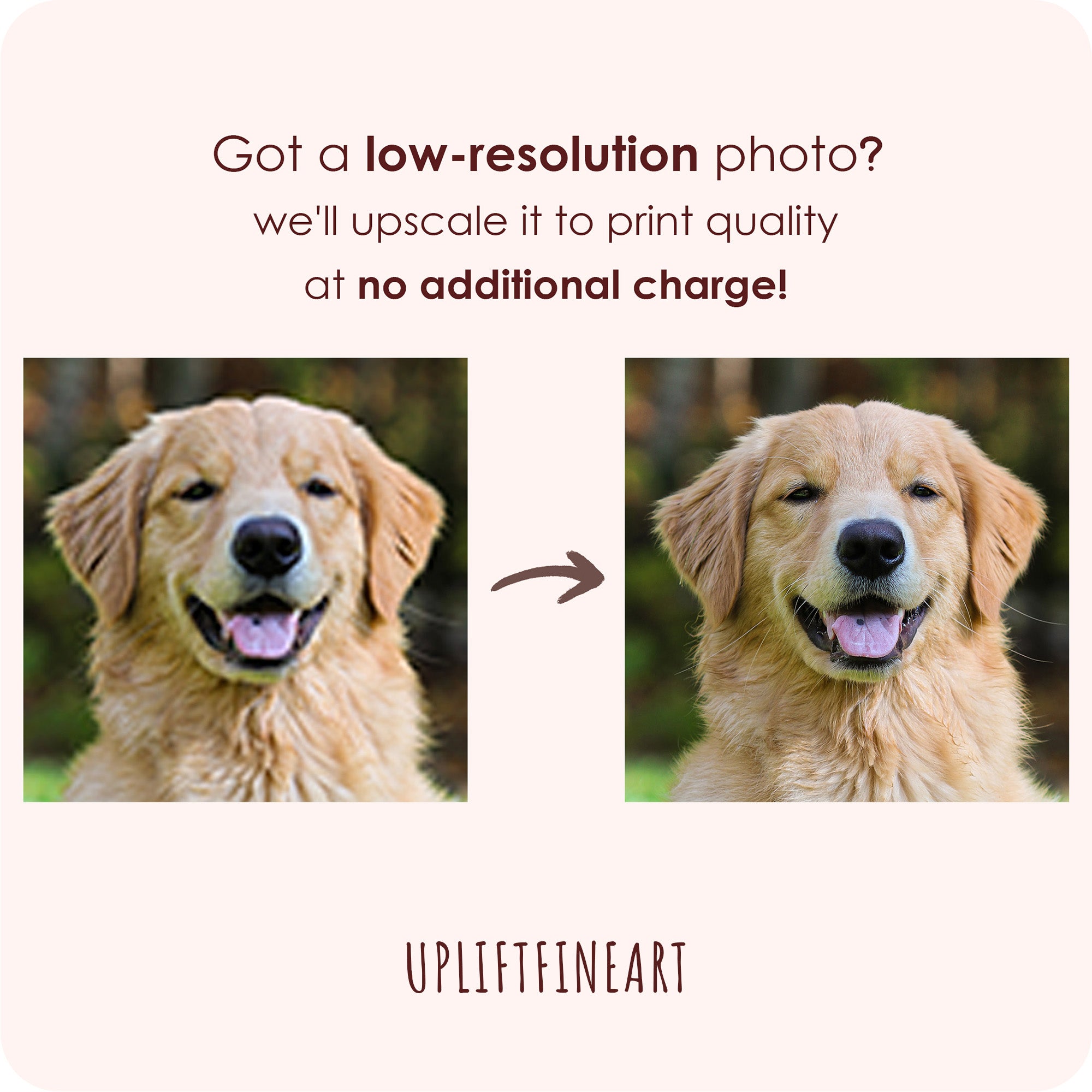 Custom Photo Canvas Prints